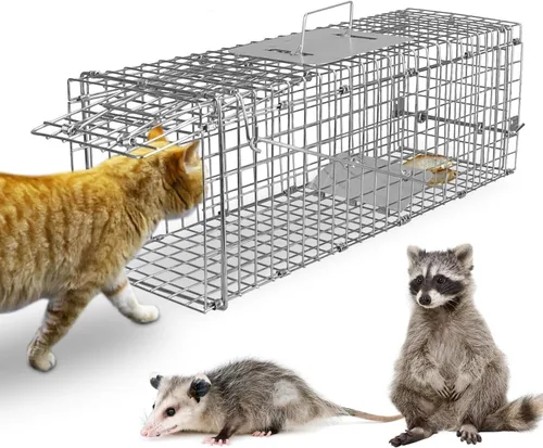 Trampa de jaula animal vivo de 23,3", alambre galvanizado plegable Trampa humana para gatos callejeros, ardillas, mapaches, ratón, marmotas, zorros