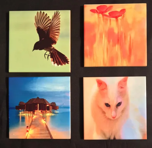 Ceramic Drink Coasters(Set of 4 of any of the photos displayed)