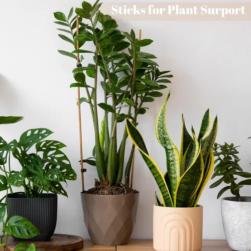 Vista 7 de 150 palitos para asar malvaviscos, palitos de malvavisco de 30 pulgadas para hoguera, pinchos de bambú de 0.197 pulgadas de grosor para asadores