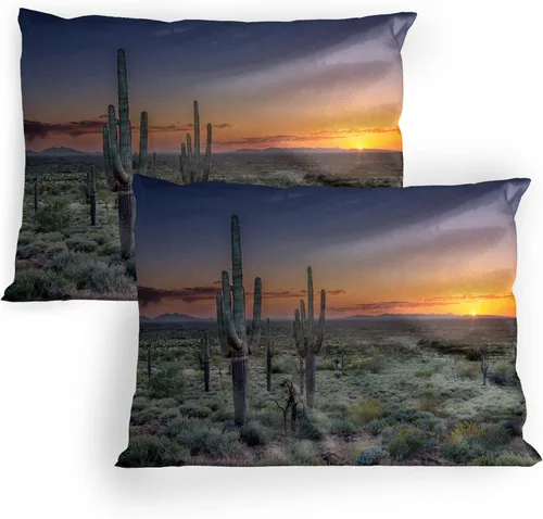 Vista 17 de Lunarable Nature Pillow Sham Set of 2, Sunset in a Winter Park Russia Sun Rays Through Trees Pathway to Forest, Quality Microfiber Bedding Item for
