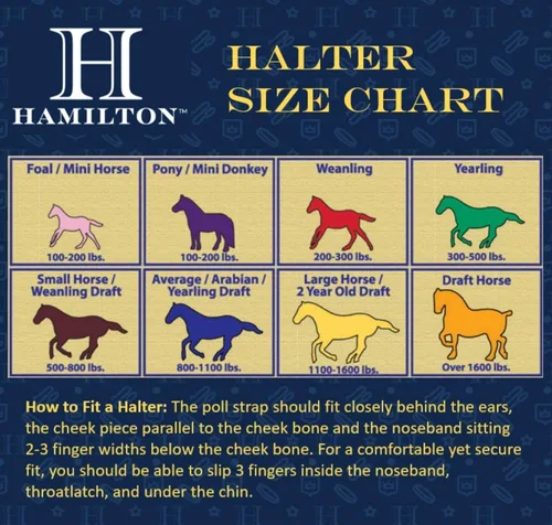 Vista 2 de Hamilton Cabestro de caballo de calidad ajustable de nailon de 1 pulgada con barbilla ajustable, tamaño pequeño