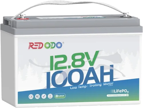 Redodo Batería LiFePO4 de 12 V 100 Ah con protección a baja temperatura, batería de litio del grupo 31 integrada 100 A BMS, más de 4000 ciclos