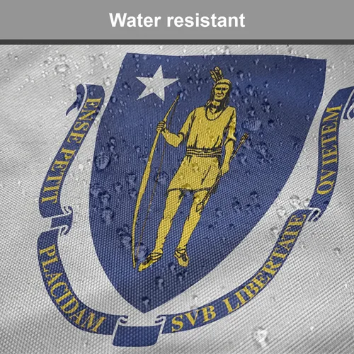 Vista 5 de Lunarable American Chair Cushion Pad, Massachusetts Flagg Holds a Bow and Pointing Downward Arrow, Seat Padding for Kitchen & Patio with Anti-Slip