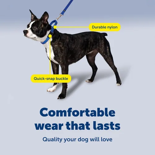 Vista 4 de Collar de la martingala de PetSafe Petite con hebilla rápida instantánea, Púrpura profundo