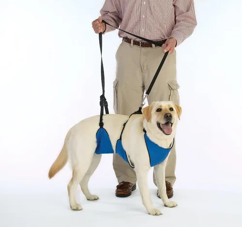 Vista 6 de Guardian Gear - Arnés de nailon para perro 4 en 1, tamaño pequeño, color azul