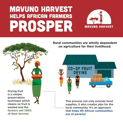 Vista 4 de Mavuno Harvest - Fruta seca 100% orgánica, 6 paquetes de 2 onzas de Jaca