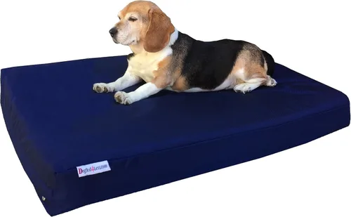Vista 35 de Dogbed4less Cama ortopédica para perros con espuma viscoelástica para mascotas medianas y grandes, forro impermeable con cubierta externa de nailon