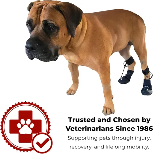 Vista 4 de WALKABOUT™ Toe'sUP - Soporte para botas sin nudillos para perros que arrastran las patas, zapatos correctivos para levantar los dedos de los pies