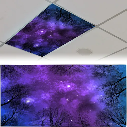 Vista 11 de Patelai Cubierta de luz fluorescente de tela de 4 x 2 pies para techo, aula, pantalla magnética para cubículo con 10 imanes, filtros de luz