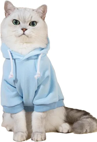 QWINEE Sudadera básica con capucha para perro, suéter cálido para gatos, ropa para mascotas para Chihuahua, cachorro, gatito, perros pequeños y