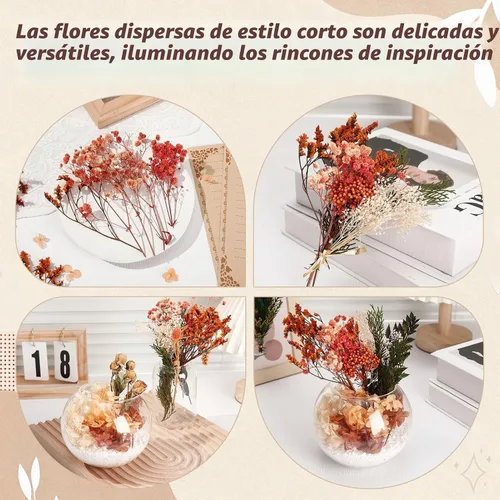 Vista 4 de Flores secas Ovveroche para decoración boho DIY