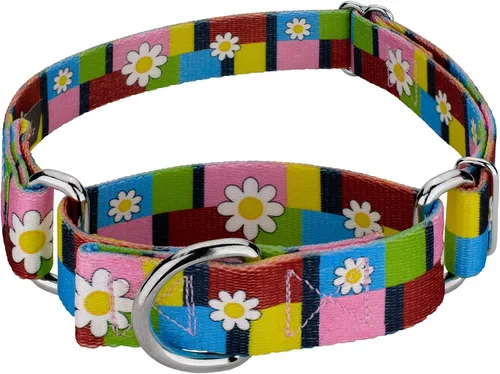 Vista 12 de Country Brook Petz - Collar de perro Martingale, collar de entrenamiento resistente, colección floral vibrante con diseños encantadores, campos