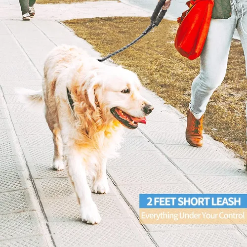 Vista 5 de BAAPET - Correa para perro de 2, 4, 5, 6 pies con mango acolchado cómodo y hilos altamente reflectantes para perros pequeños, medianos y grandes