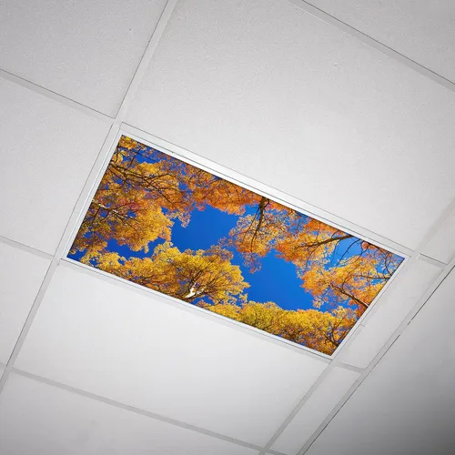 Vista 12 de OCTO LIGHTS Cubiertas decorativas de luz fluorescente para luces de techo de aula, 2 x 4 (22.38 x 46.5 pulgadas), mejora el enfoque, elimina dolores