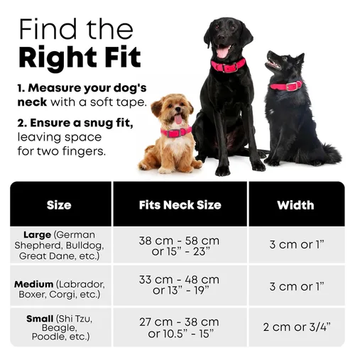 Vista 2 de Regal Dog Products Reflective Dog Collar with Custom Engraved Name Plate Waterproof Biothane Personalized Dog Collars with D Ring & Double Buckle