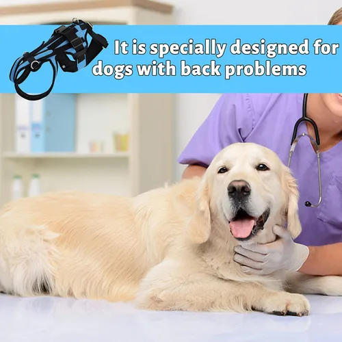 Vista 4 de Soporte de espalda para perros para perros, soporte de cadera para mascotas, soporte de espalda para perros con IVDD, recuperación y rehabilitación