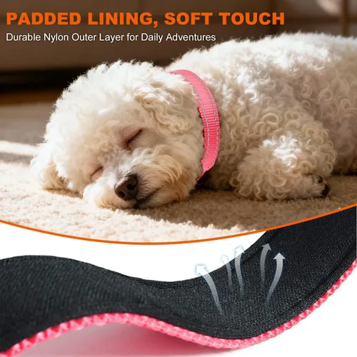 Vista 4 de Taglory Collar reflectante para perro con hebilla de bloqueo de seguridad, collares ajustables de nailon para mascotas para cachorros, hembras