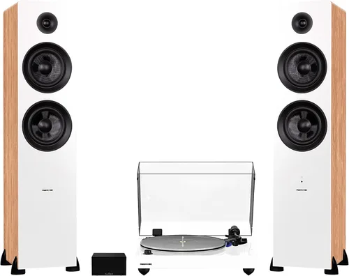 Vista 13 de Fluance RT85 Reference High Fidelity Vinyl Turntable, PA10 Phono Preamp and Ai81 Powered Floorstanding Speakers, Ortofon 2M Blue Cartridge, 150W