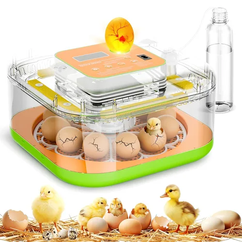 Incubadora para incubar huevos, control de temperatura y humedad, día de incubación e incubación automático y ajustable, vela de huevos incorporada,