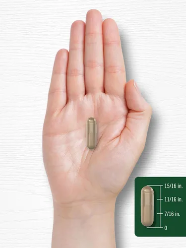 Vista 8 de Carlyle Cápsulas de ginseng coreano Extracto de 2000 mg 200 unidades Fórmula sin OMG y sin gluten Suplemento estandarizado de Panax Ginseng