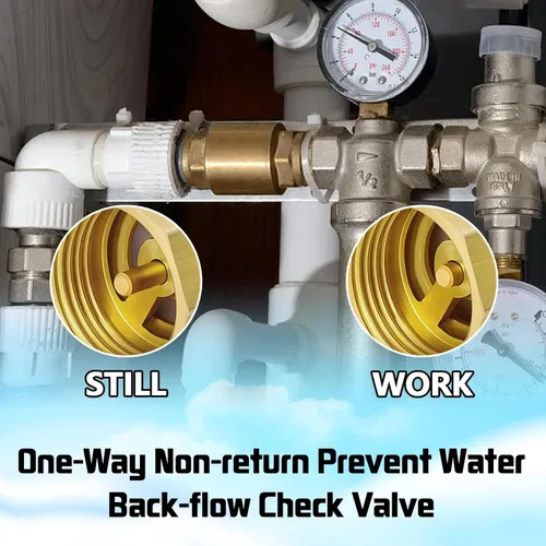 Vista 7 de Boltigen 2 unidades de 1 pulgada NPT hembra con rosca resorte válvula de retención, válvula de retención no retorno de una vía horizontal vertical