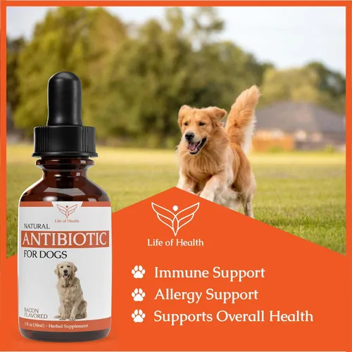 Vista 3 de Antibióticos naturales para perros Antibióticos para perros Tratamiento de infección del oído del perro Alivio de la picazón del perro