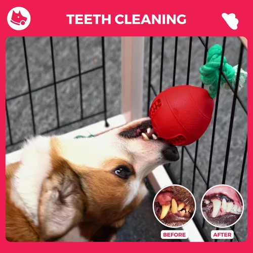 Vista 7 de Fossa Juguetes interactivos para perros, ayudas de entrenamiento para cachorros, dispensador de golosinas de rompecabezas con cuerda, juguetes