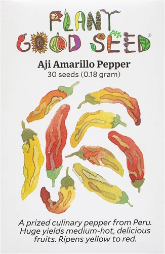 Plant Good Seed Semillas de pimienta Aji Amarillo orgánicas para plantar: chile tradicional peruano, frutos amarillos anaranjados - Paquete de 30