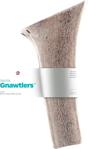 Vista 9 de Gnawtlers - Cornamenta de alce de primera calidad para perros, cuernos desprendidos naturalmente, para masticar, especialmente seleccionada