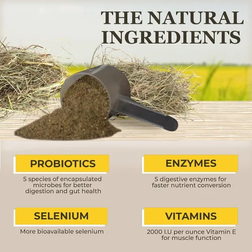 Vista 4 de Equerry's Suplemento de selenio y vitamina E para caballos Salud muscular y antioxidante Suplemento para caballos Forma de comida Bolsa de 20