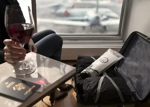 Vista 8 de Wine Diaper - Reusable, Protective and Absorbent Wine Bottle Bags for Travel (3 pack) Made in the USA