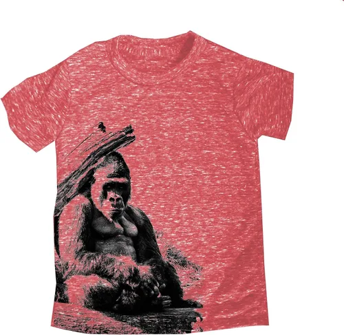 Peek-A-Zoo Animal Facts - Camisetas súper suaves de manga corta, triblend juvenil, tallas 4-12