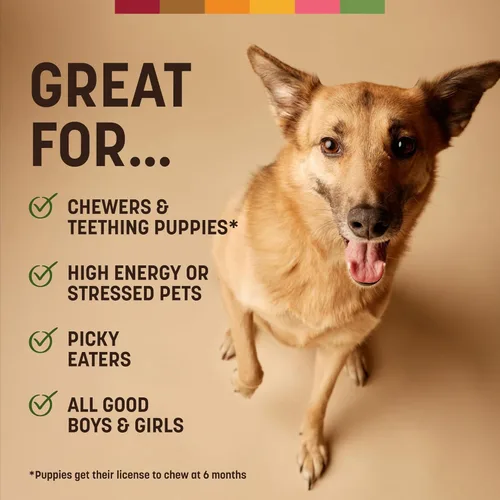 Vista 46 de Earth Animal Masticables sin ocultar – de The Grill Rolls Bacon Cheeseburger Sabor Rawhide Free Medium Dog Chews – 3