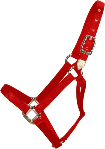 Vista 21 de Hamilton Caballo de nailon de 1 pulgada, tamaño pequeño (500-800 libras), azul baya