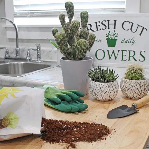 Vista 3 de Soil Sunrise Mezcla para macetas de perlita de turba de coco (4 cuartos de galón) de coco suelto y perlita