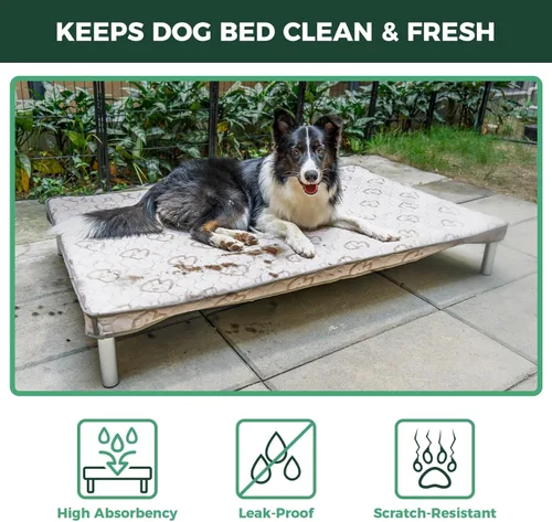 Vista 4 de FXW TitanNest - Cama elevada para perros a prueba de masticación, cuna elevada para uso en interiores, exteriores y campamentos, cama refrescante