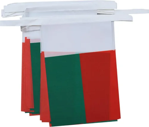 Vista 85 de Guatemala 19.7 ft BUNTING Flag 20 banderas 9'' x 6'' - Banderas de cuerda guatemalteca 5.9 x 8.3 in - AZ FLAG