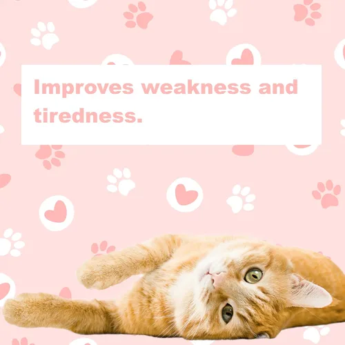 Vista 2 de LifeLink 's Zobaline para gatos 3 mg x 60 tabletas