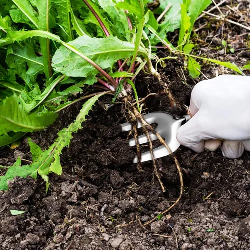 Vista 7 de DOITOOL Sturdy Stainless Steel Garden Tools Kit with Smooth Wooden Handles Rounded Edges for Safe Use Lightweight and Comfortable Grip Outdoor