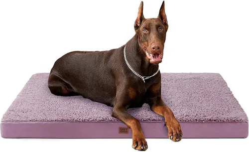 Vista 65 de EHEYCIGA Camas ortopédicas para perros, cama para perros con funda extraíble lavable, todos los tamaños de perros