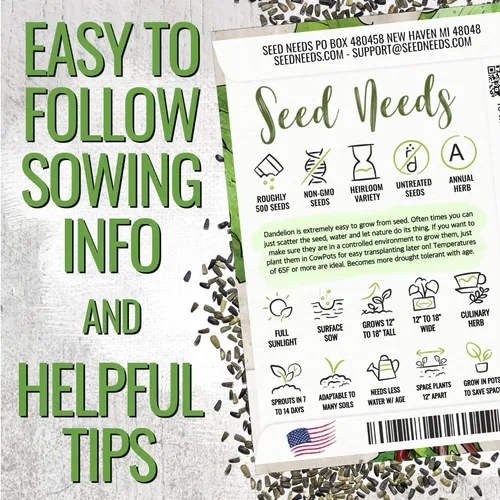 Vista 5 de Seed Needs - Semillas de achicoria para plantar flores azules de diente de león italiano, 1 paquete