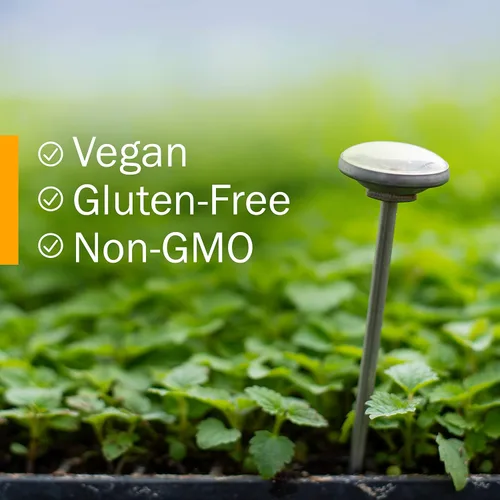 Vista 9 de Herb Pharm Extracto líquido orgánico certificado de motherwort para soporte del sistema endocrino, 1 onza