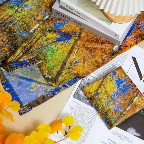 Vista 5 de Patelai Cubierta de luz fluorescente de tela de 4 x 2 pies para techo, aula, pantalla magnética para cubículo con 10 imanes, filtros de luz