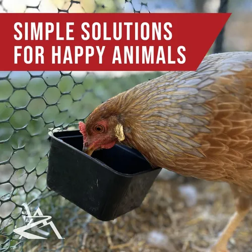 Vista 6 de The ROP Shop Paquete de 24 tazas de jaula negras para pollos, perros, faisanes, conejos y agua