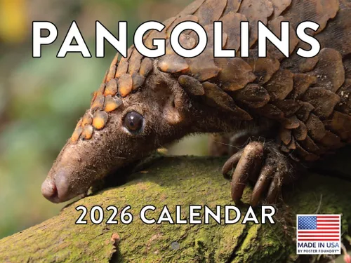 Vista 47 de Calendario de Cocodrilo 2026 Calendario de Pared Mensual 12 Meses Fabricado en Estados Unidos