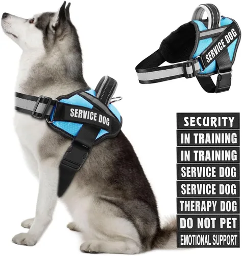 Vista 38 de Juego de arnés y parches para chaleco de perro, arnés de perro de servicio en entrenamiento Animire con 10 parches para perros, chaleco reflectante