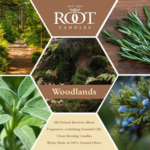 Vista 2 de Root Candles Velas perfumadas de otoño en lata de viaje, 24 horas, vela de mezcla de cera de abeja hecha a mano, 4 onzas, Woodlands Bosques