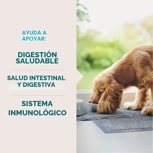 Vista 4 de VetIQ Probióticos para gatos, golosinas para la salud digestiva y Alivia el estreñimiento y la diarrea; mezcla de probióticos, prebióticos