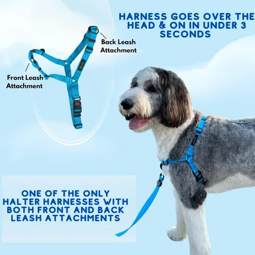 Vista 6 de ShawnCo Dream Walk - Arnés para perro sin tirones, ajustable, cómodo, fácil de usar para mascotas para ayudar a dejar de tirar, para perros