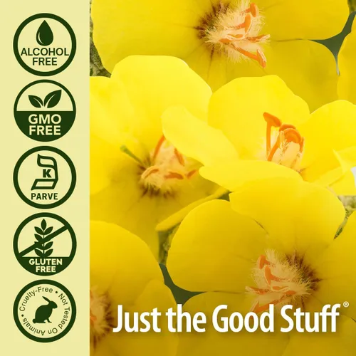 Vista 4 de Nature's Answer Mullein Herb - Extracto de hoja de gordolobo para pulmones - Sin alcohol, sin OGM, fabricado en Estados Unidos - Apoya la función